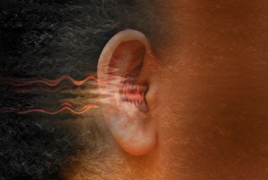 Science & Health Article