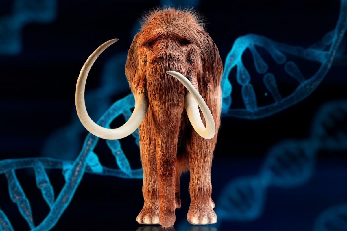  (Photo Illustration by Salon / Getty Images / SCIEPRO / SCIENCE PHOTO LIBRARY / Shutter2U)