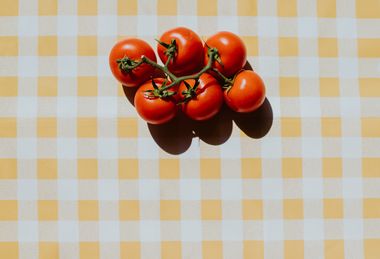 Food Article
