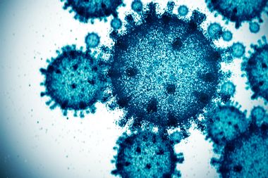 Science & Health Article